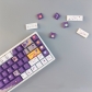 Little Astronaut 104+33/38/40 PBT Dye-subbed Full Keycaps Cherry Profile Compatible with Mechanical Keyboard GK61 64 68 87 104 108